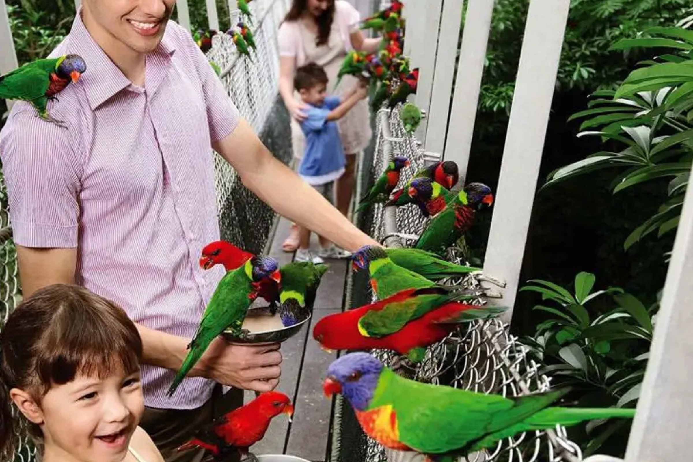 Jurong Bird Park Admission Ticket